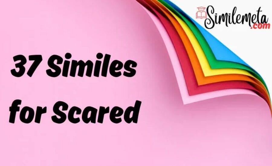Simile for scared 3 Your paragraph text 6 1