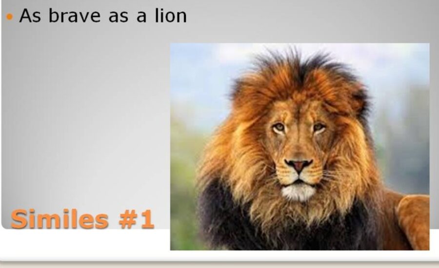 as brave as a