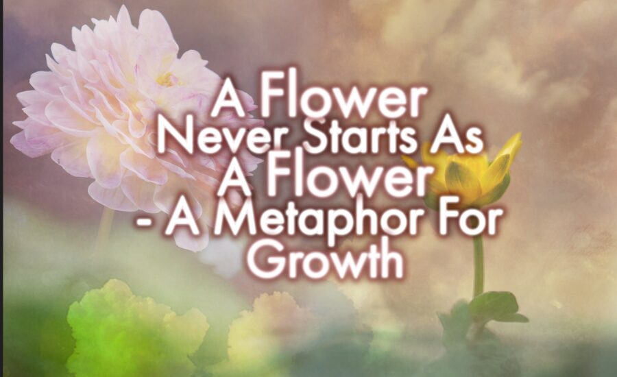 Flower metaphors Flowers are Wonders, He’s a Violet & More 3 Your paragraph text 56