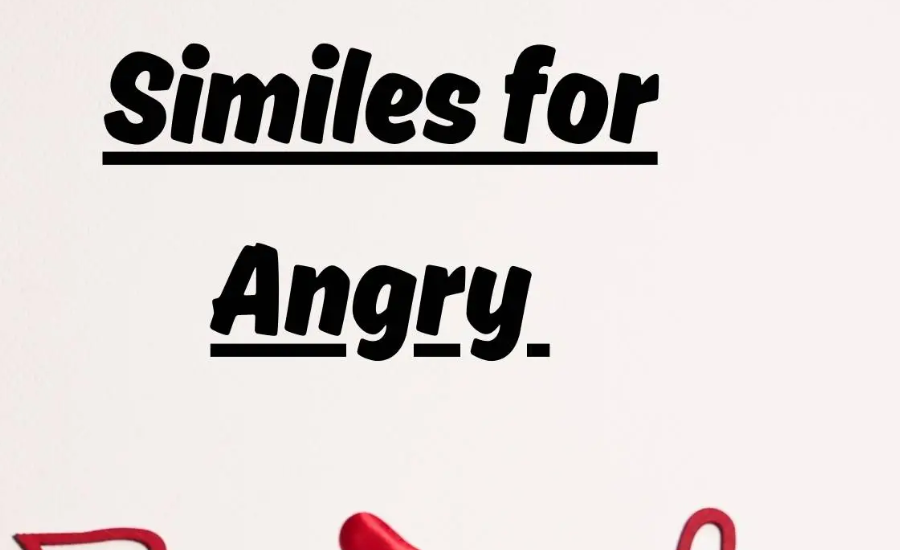 As angry as mad as a hornet, Like a Bull Seeing Red & More 4 Your paragraph text 61