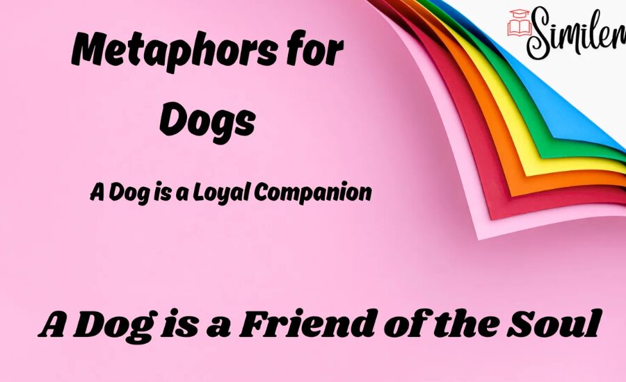 dog metaphors
